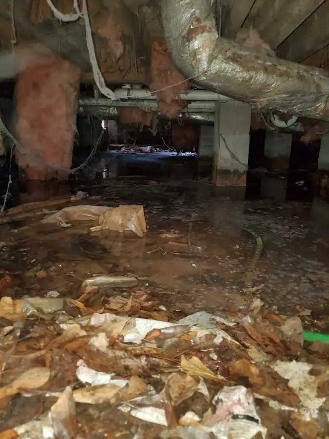 Crawl space flood assessment for Leak Detection & Repair in Northwood