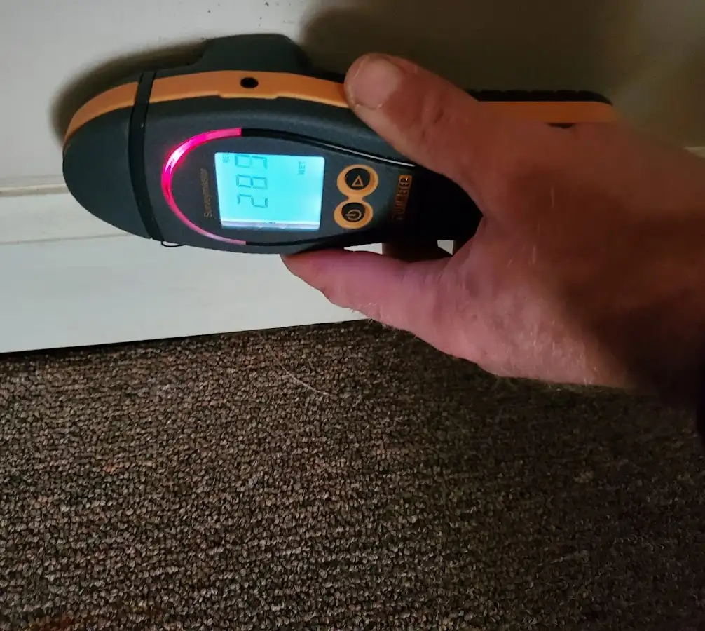 Moisture detection at baseboard during Sewage Cleanup & Sanitation in Northwood